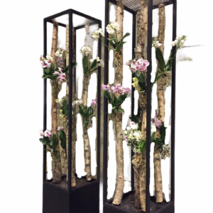 Frame RAW Deco - 60x60x250cm